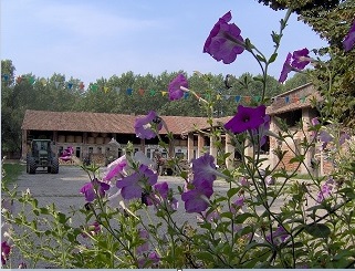 	Cascina Campazzo	